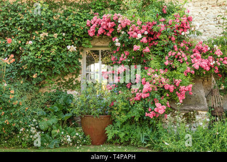 Roquelin's Gardens, Les Jardins de Roquelin, francia : la casa e il fiorito cortile interno (menzione obbligatoria del nome di giardino e di redazione o Foto Stock