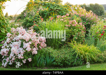 Roquelin's Gardens, Les Jardins de Roquelin, francia : aiuola con piante perenni (menzione obbligatoria del giardino nome e solo editoriale) Foto Stock