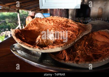 Frutto di baobab noto come 'Monkey pane". Azura Quilalea isola privata, Quirimbas arcipelago, Mozambico, Africa Foto Stock