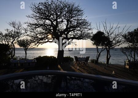 Azura Quilalea isola privata, Quirimbas arcipelago, Mozambico, Africa Foto Stock