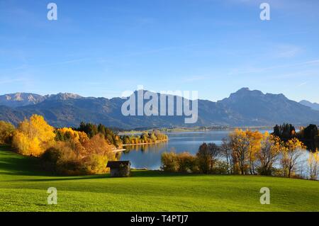 Forggensee, in background (da sinistra a destra) l'alto bordo, il Tegelberg e SÃ¤uling, OstallgÃ¤u, Baviera, Germania, Europa Foto Stock