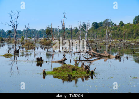 La Neak Pean lago, Banteay Srei, Cambogia vicino a Angkor Wat e Banteay Srei templi Foto Stock