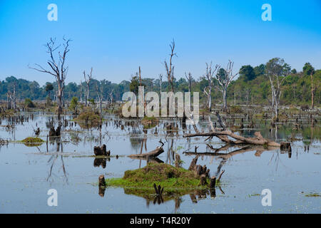 La Neak Pean lago, Banteay Srei, Cambogia vicino a Angkor Wat e Banteay Srei templi Foto Stock