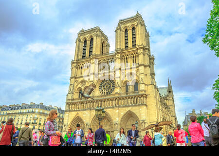 Parigi, Francia - luglio 1, 2017: il turista a godere i piccioni alimentando in Notre Dame square. a Parigi. Una popolare destinazione turistica nella capitale francese. Il Foto Stock