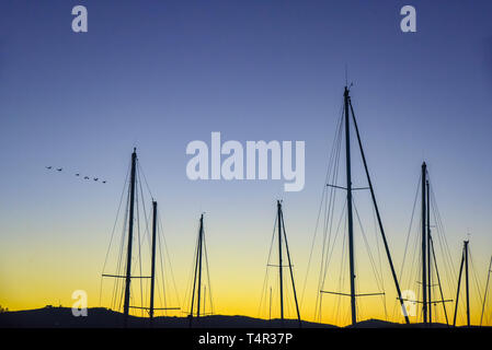 Yacht a montanti al tramonto fotografato in Sud Africa Foto Stock