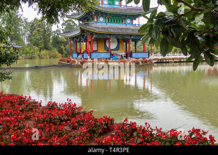 Drago Nero in pool di Lijiang, nella provincia dello Yunnan in Cina Foto Stock