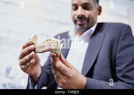 Mauer, Germania. Xvii Apr, 2019. John Ehret, sindaco di Mauer, tiene nelle sue mani una replica di una mandibola di Homo Heidelbergensis trovati in Mauer in Grafenrain buca di sabbia nel municipio. Questa ganascia ha un enorme significato per la storia dell'umanità. I fossili trovati in un luogo secco Neckar bow appartiene con i suoi 610 000 anni per i più antichi reperti umani in Europa. (A dpa 'Homo Heidelbergensis - La comunità che i sogni di un museo') Credito: Uwe Anspach/dpa/Alamy Live News Foto Stock