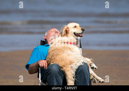 Southport, Merseyside, Regno Unito. Il 19 aprile 2019. Cani al giorno fuori. Su un meravigliosamente caldo e soleggiato Venerdì Santo, un uomo si ritiene che le catture di alcuni chiudere occhio come il suo Golden Retriever mantiene belvedere sulla spiaggia di Southport nel Merseyside. Credito: Cernan Elias/Alamy Live News Foto Stock