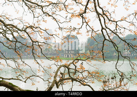 Albero in bud al lago Hoan Kiem nella capitale Hanoi con Turtle Tower - il simbolo del Vietnam. Focus sulla torre di tartaruga Foto Stock