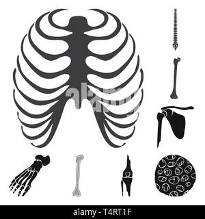 Nervatura,femore,piedi,fibre,gabbia,colonna vertebrale,rotto,bacino,caviglia,,ossea sana,xray,chiropratica,fibula,hip,gamba,scientific,corpo,backbone,shin,pelvico podologia,,GINOCCHIO,muscolo spinale,,tibia,l'avampiede,l'epitelio,sterno,biology,medical,osso,skeleton,anatomia umana,,organi,medicina clinica,,impostare,vettore,icona,immagine,isolato,raccolta,design,l'elemento,graphic,segno,Black,semplici vettori vettore , Illustrazione Vettoriale