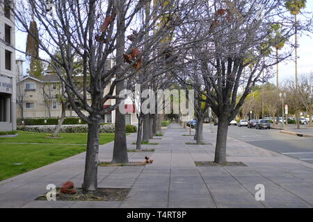 Percorrendo a piedi il centro di Anaheim Foto Stock