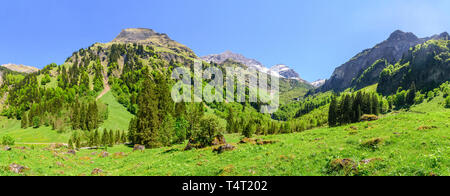 Splendida natura alpina nel Oytal nel sud della regione di Allgäu Foto Stock