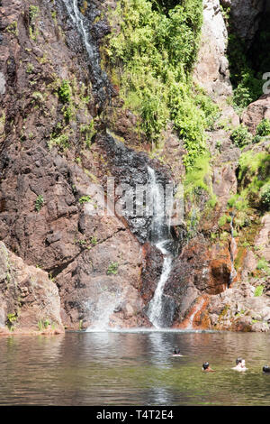 Litchfield, Northern Territory, Australia-December 24,2017: per coloro che godono di un viaggio a Wangi Falls in remoto di Litchfield, Australia Foto Stock