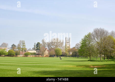 Un giardiniere con il suo tosaerba sul Merton (aka la Chiesa di Cristo) campo, con la torre di Magdalen College dell'università di Oxford, Inghilterra, in background. Foto Stock