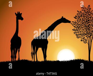 Le giraffe in Africa sfondo vettoriale Illustrazione Vettoriale
