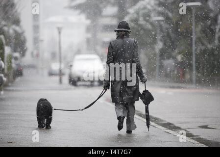 Donna che cammina sulla strada, nevicava, ombrello e cane su un lesh, Locarno, Svizzera Foto Stock