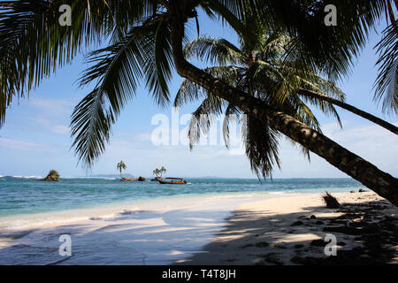 Le palme sulla spiaggia di Cayo Zapatilla, Isola Bastimentos, Panama Foto Stock