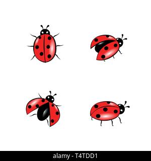 Set di Red Ladybug isolato su bianco illustrazione vettoriale EPS10 Illustrazione Vettoriale