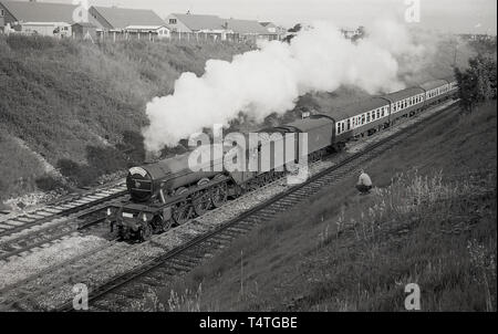 1969, storico, un uomo seduto su un grassbank da un binario ferroviario, orologi come la mitica locomotiva a vapore, il Flying Scotsman', va passato. Foto Stock