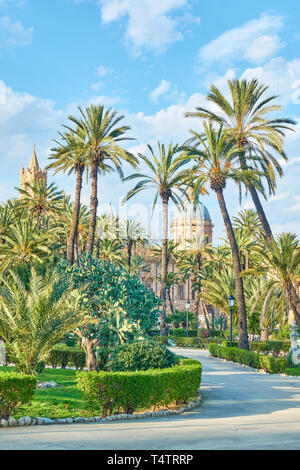 Villa Bonanno giardino pubblico con alte palme e con la Cattedrale di Palermo in background, Palermo, Sicilia, Italia Foto Stock