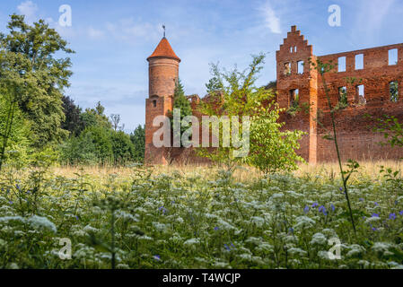 I cavalieri di Teutonic rovine del castello nel villaggio di Szymbark in Warmian Masurian voivodato di Polonia Foto Stock