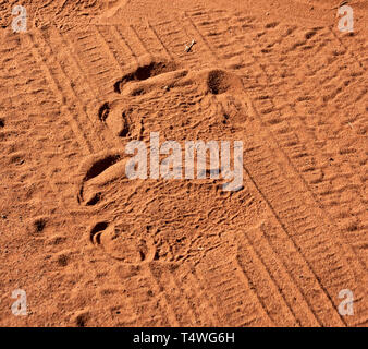 Un rinoceronte bianco impronta in sabbia rossa Foto Stock