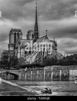 La cattedrale di Notre Dame in bianco e nero con le anatre in primo piano Foto Stock