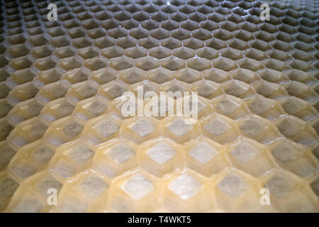 Ampio angolo di ripresa macro del favo cera. Vista astratta di miele pettine di forma esagonale pattern Foto Stock