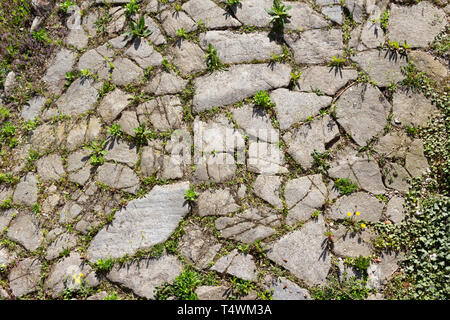 Una parte originale di antico romano Amber Road nel Parco Archeologico di Scarbantia, Sopron, Ungheria Foto Stock