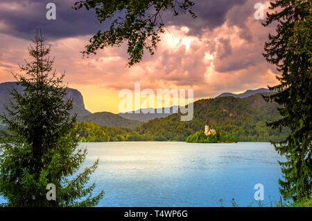 Il lago di Bled con la chiesa di Santa Maria e Castello di Bled attraverso un telaio di un tronco di albero e piante,Slovenia,l'Europa Foto Stock