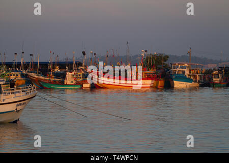 Barche da pesca in porto. Marissa, Sri Lanka. La mattina presto la luce. Aprile 2019 Foto Stock