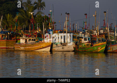 Barche da pesca in porto. Marissa, Sri Lanka. La mattina presto la luce. Aprile 2019 Foto Stock