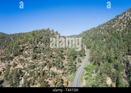 Strada in Forest Hills ricoperte di pini nelle montagne della California. Foto Stock