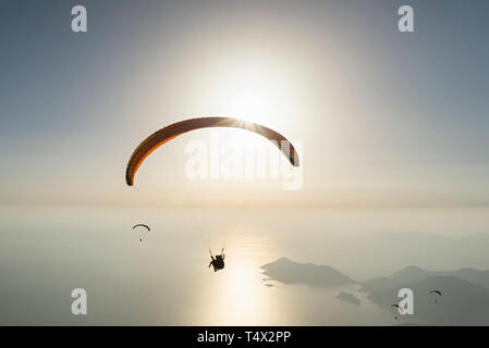 Parapendio sul mare durante il tramonto Foto Stock