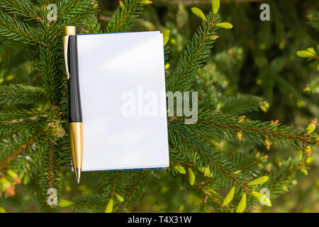 Blocco note e nero e oro penna sullo sfondo di una conifera abete. Il concetto di lavorare e studiare nel parco di natura Foto Stock