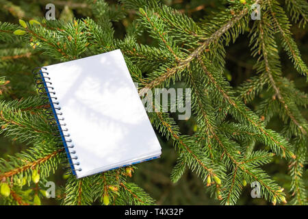 Blocco note e nero e oro penna sullo sfondo di una conifera abete. Il concetto di lavorare e studiare nel parco di natura Foto Stock