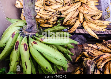 Prodotti freschi per la vendita a livello locale mercato degli agricoltori Foto Stock