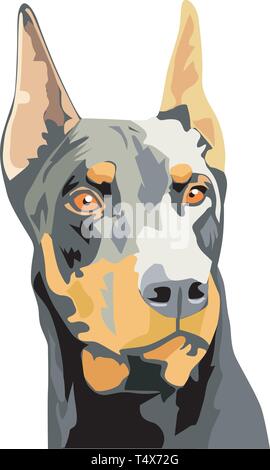 Dobermann illustrazione vettoriale Illustrazione Vettoriale