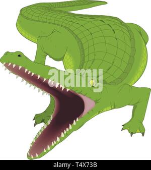 Alligatore illustrazione vettoriale Illustrazione Vettoriale
