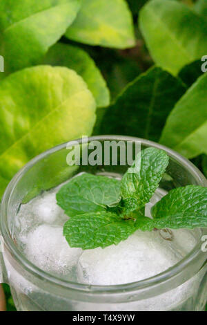 Il tè alla menta con ghiaccio in tempo per rilassarsi. Foto Stock