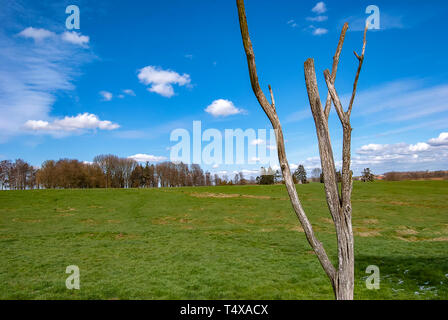 Il pericolo Tree è stata un punto di montaggio per il Terranova dai soldati durante la battaglia della Somme, una replica segna il punto in corrispondenza del reggimento di Terranova Foto Stock