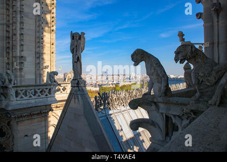 Il doccione nella parte superiore della cattedrale di Notre Dame a Parigi, Francia Foto Stock