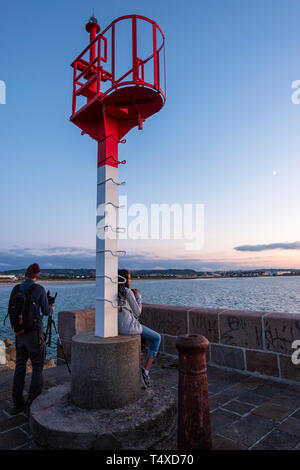 Cherbourg-Octeville, Francia - Agosto 15, 2018: faro nel porto di Cherbourg durante il tramonto. La Normandia, Francia Foto Stock