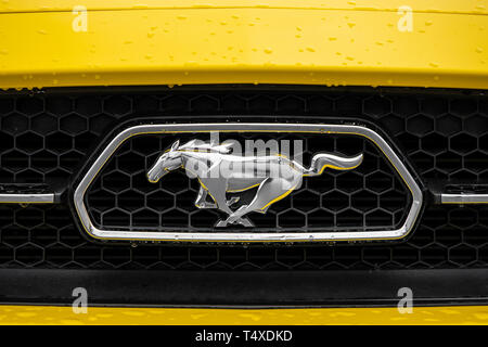 Il logo frontale e la griglia di un giallo 2015 cinquantesimo anniversario Ford Mustang con gocce d'acqua sulla vettura. Foto Stock