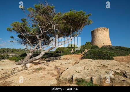 Torre di Cala Pi, sedicesimo secolo, utilizzato per difendere l'ingresso alla baia, Cala Pi, Maiorca, isole Baleari, Spagna, Europa. Foto Stock