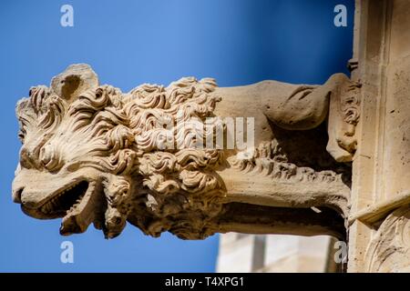 Gargola en forma de Leon, Lonja de Palma de Mallorca , Sa Llotja, antigua sede del Colegio de Mercaderes, Monumento histórico-artístico, construida por Guillem Sagrera entre 1420 y 1452, Palma di Maiorca, isole Baleari, Spagna. Foto Stock