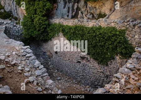 Coma de n'Arbona, Casas de Nieve o casi de Neu, término Municipal de Fornalutx, paraje natural de la Sierra de Tramuntana, Maiorca, isole Baleari, Spagna. Foto Stock