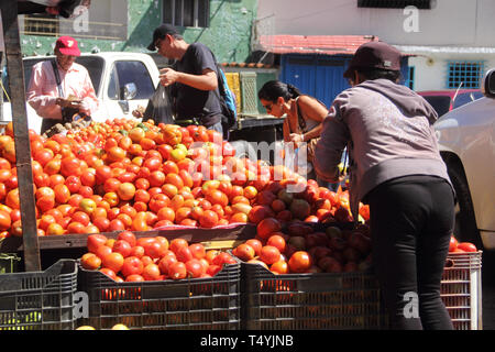 Merida, Venezuela - Aprile 4, 2017: Sconosciuto il consumatore che acquista i pomodori a Soto Rosa mercato nella città di questa mattina. Foto Stock