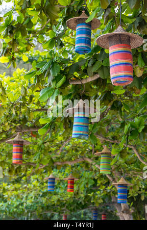 Cinese lanterne di carta appeso a un albero verde in un bar o un ristorante sulla spiaggia di Koh Phangan, Thailandia. Foto Stock