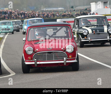 Tom Blomqvist, Austin Mini Cooper S, Betty Richmond Trophy finale, Mini berline, 77th Assemblea dei Soci, Goodwood, West Sussex, in Inghilterra, aprile 2019, Auto Foto Stock